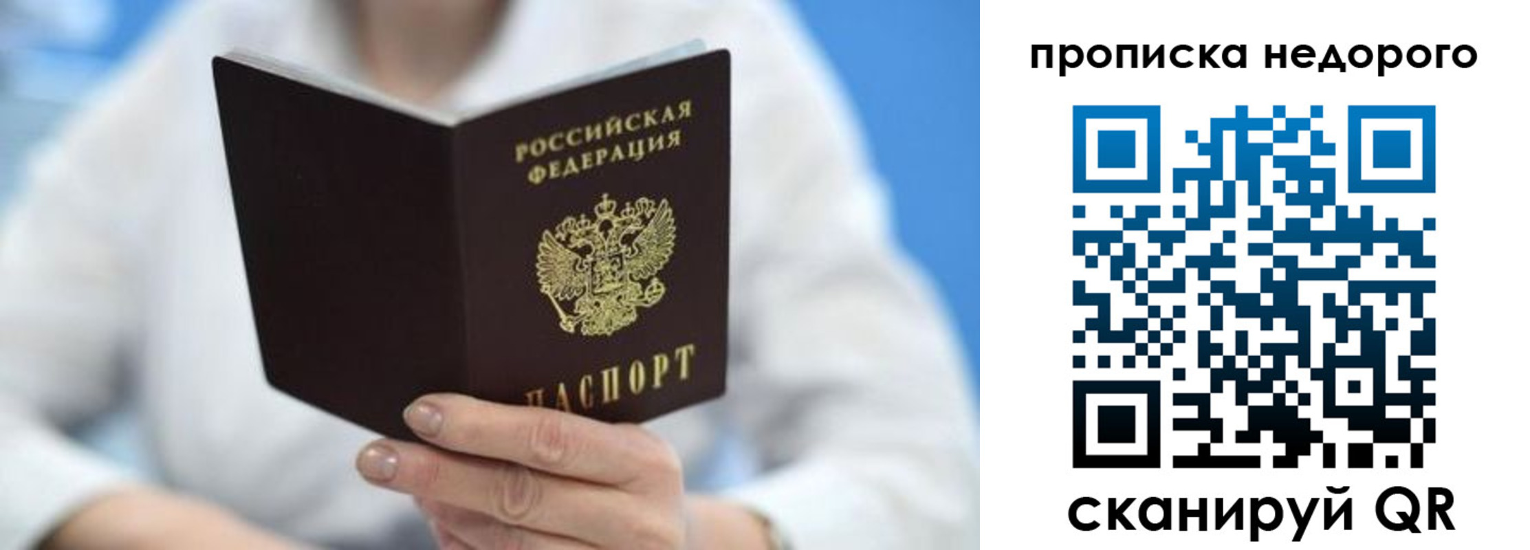 регистрация в Ярославской области